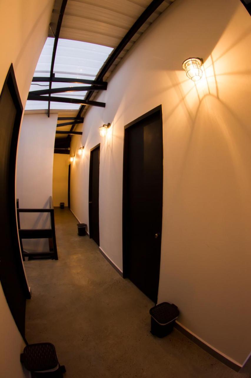 Nativo Hostel 메딜린 외부 사진